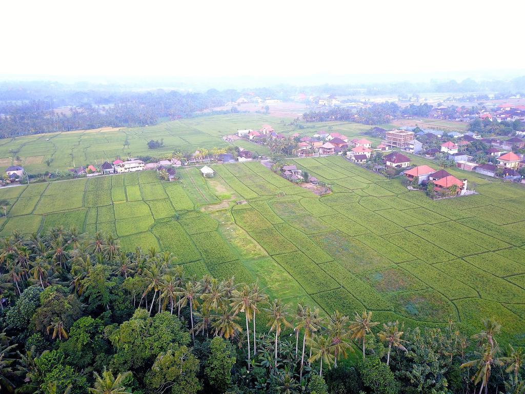 Pangkung Sari Ubud Exterior foto